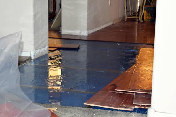 Professional Basement Water Removal technician working in Marriottsville, MD